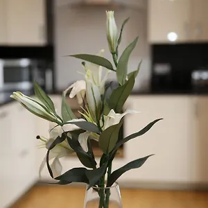 Dalry House Apartment Edinburgh